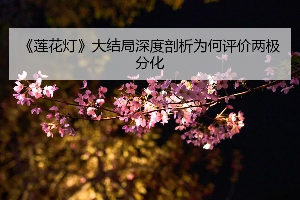 lian-hua-deng-da-jie-ju-shen-du-pou-xi-wei-he-ping-jia-liang-ji-fen-hua-2-855.jpg