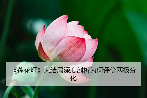 《莲花灯》大结局深度剖析为何评价两极分化