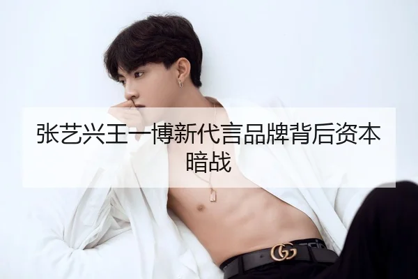zhang-yi-xing-wang-yi-bo-xin-dai-yan-pin-pai-bei-hou-zi-ben-an-zhan-2-231.jpg
